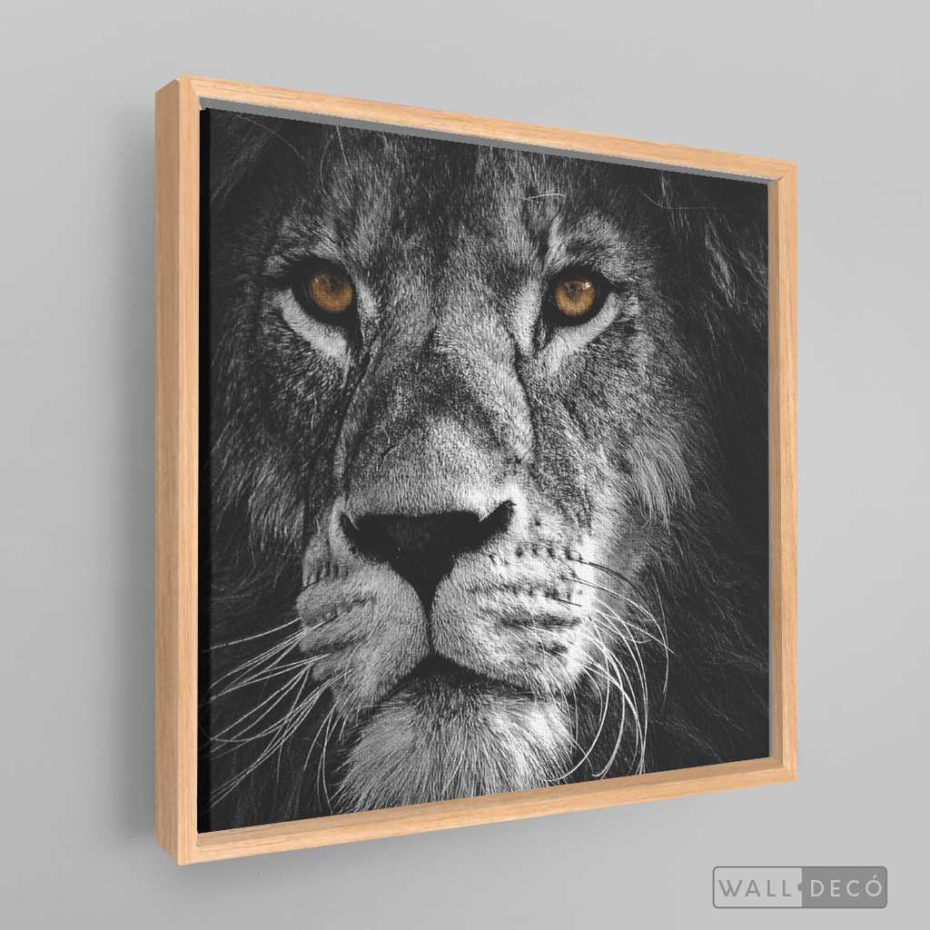 Cuadro Animales León (B) B/N