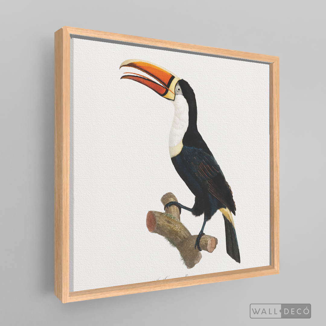 Cuadro Aves Tucan Colombiano 1