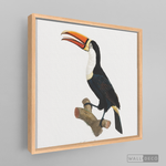 Cargar imagen en el visor de la galería, Cuadro Aves Tucan Colombiano 1
