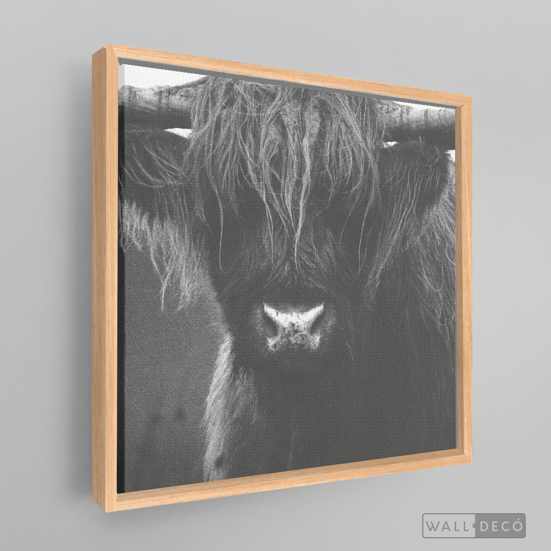 Cuadro Animales Bisonte