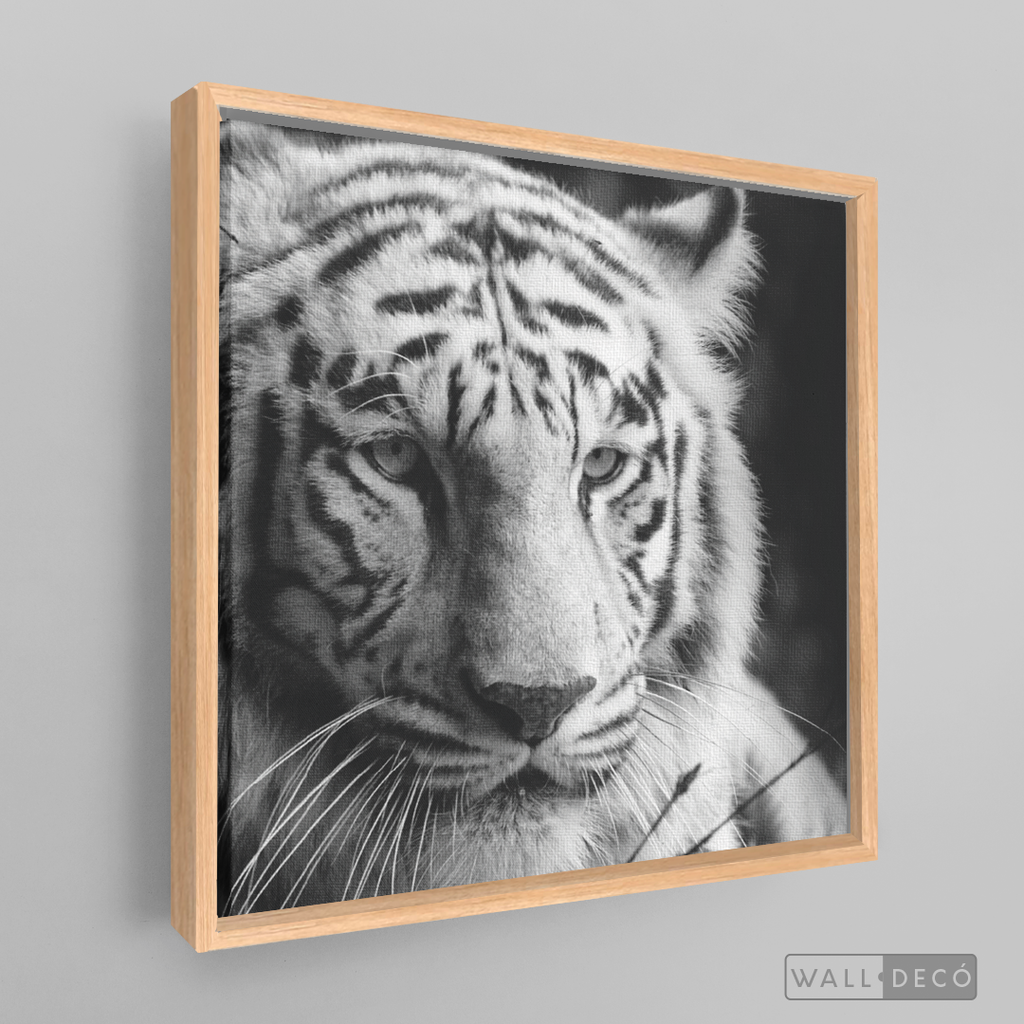 Cuadro Animales Tigre Blanco B/N