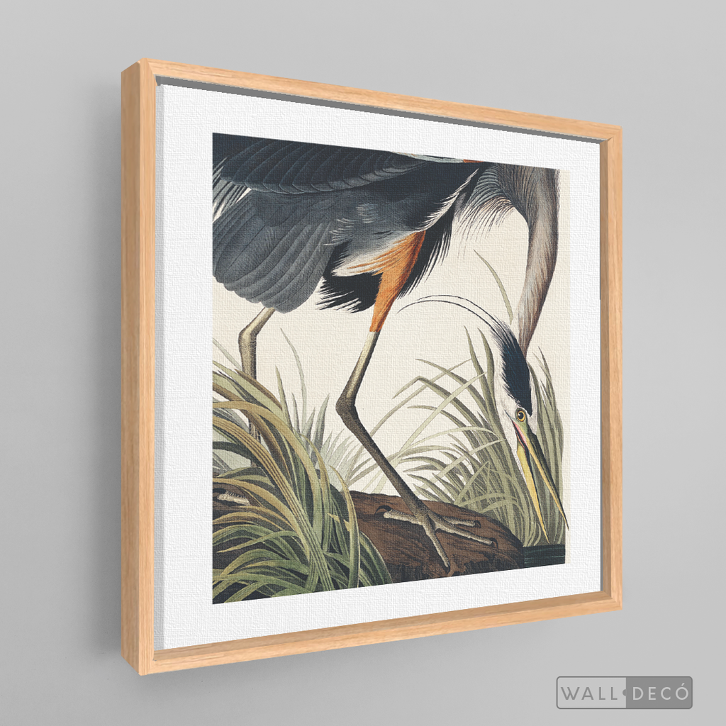 Cuadro Aves Garza