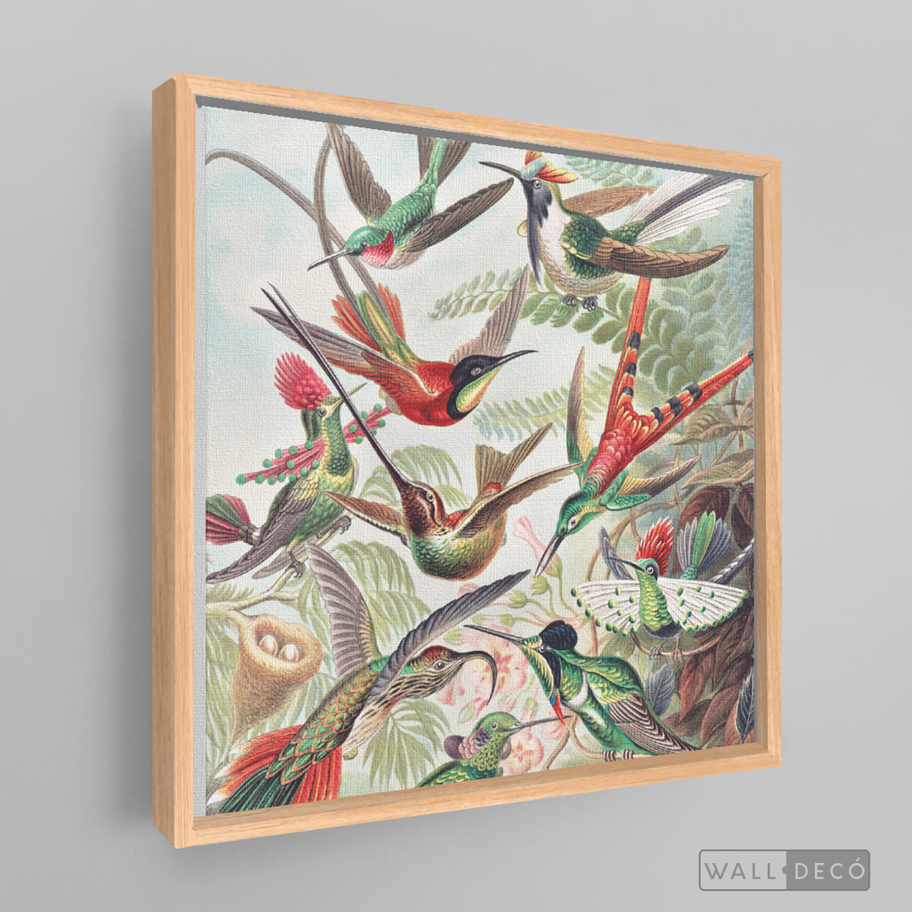 Cuadro Aves Colibríes