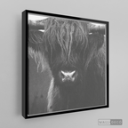 Cuadro Animales Bisonte