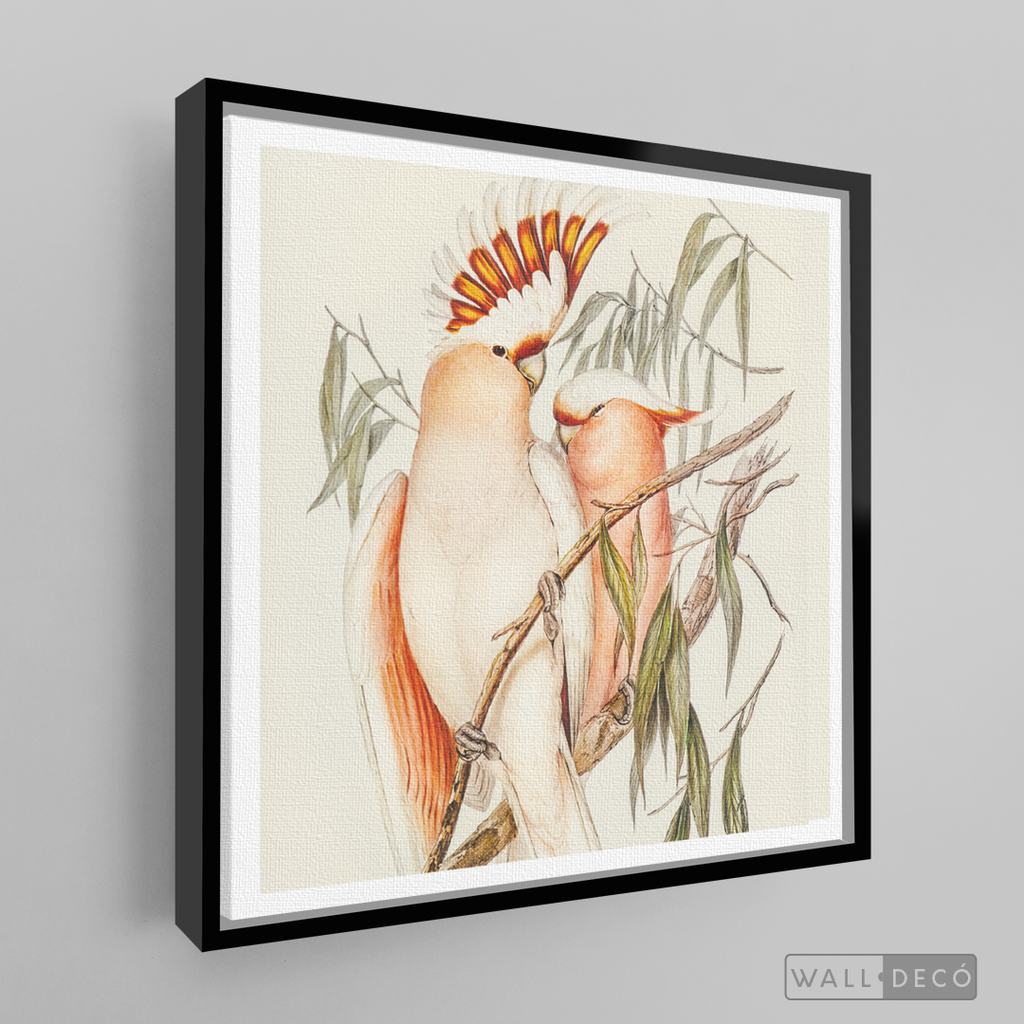 Cuadro Aves Cacatua Australiana