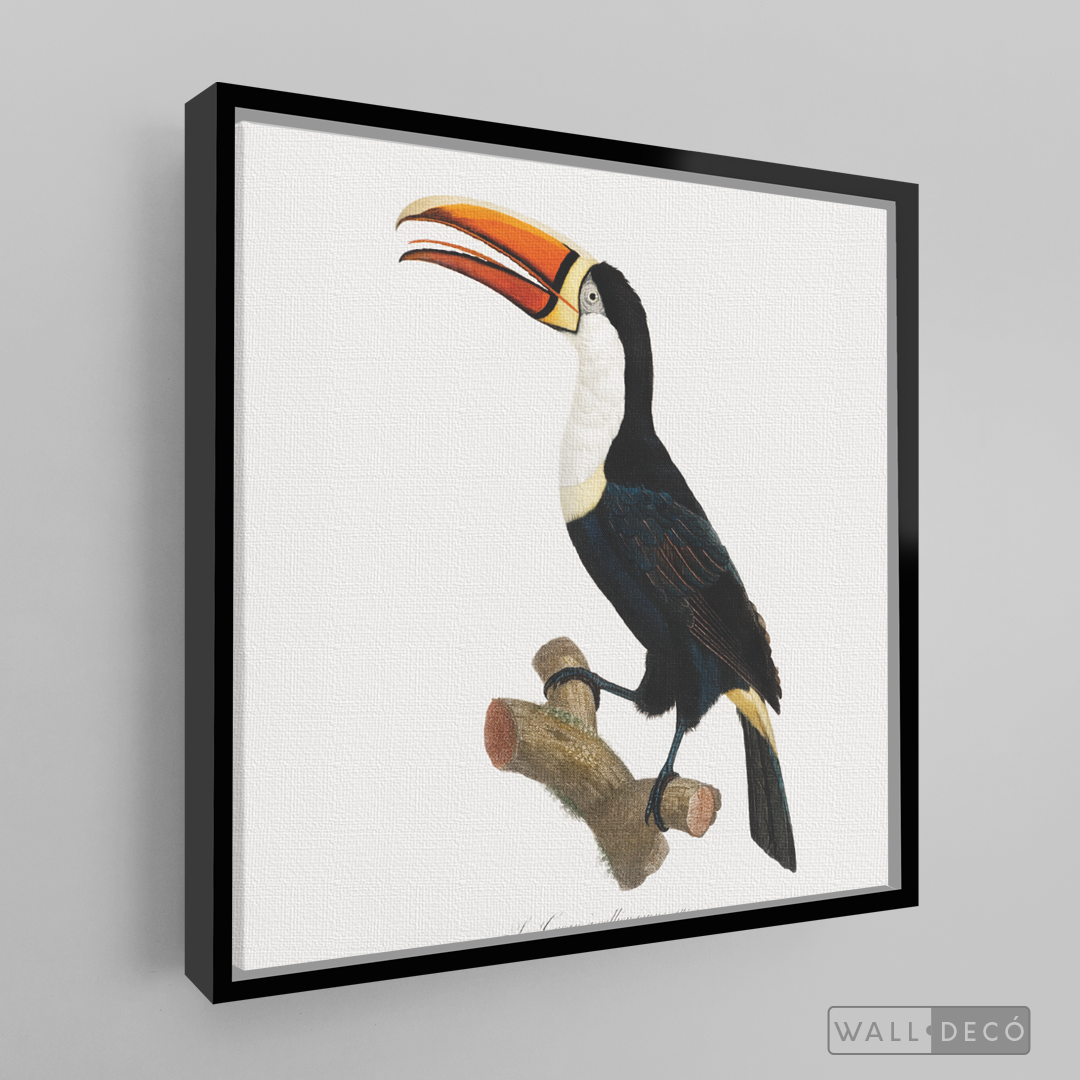 Cuadro Aves Tucan Colombiano 1