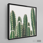Cuadro Botánico CACTUS