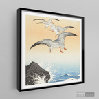 Cuadro Aves Gaviotas Japón