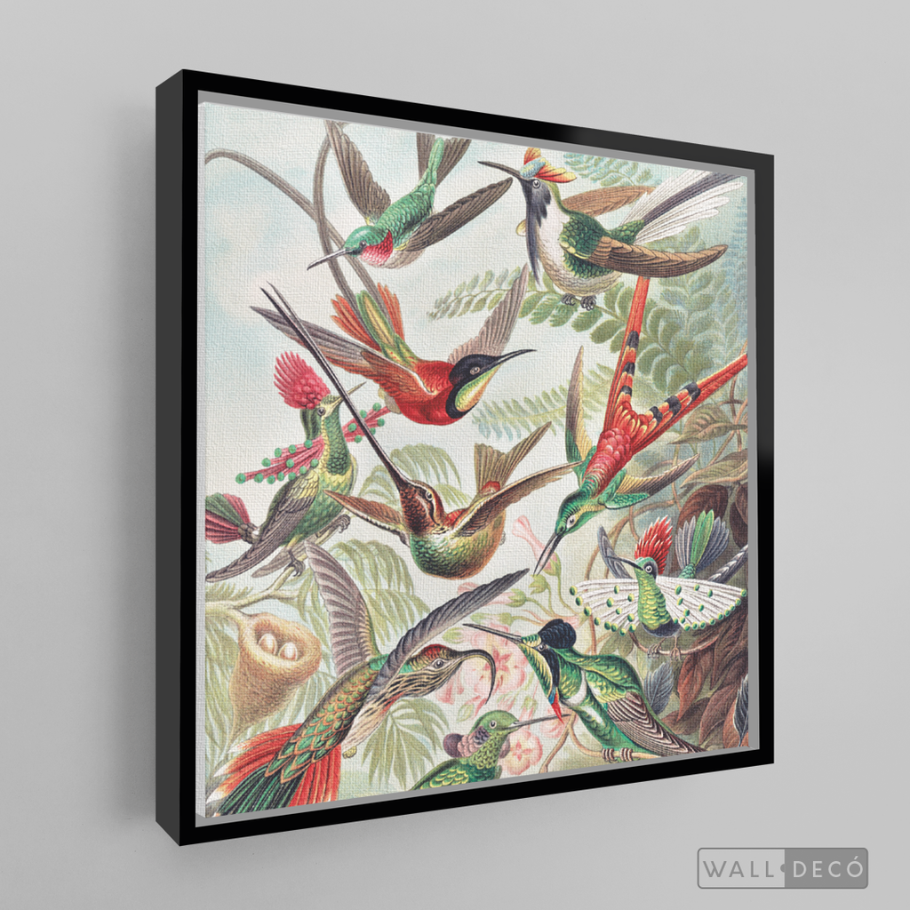 Cuadro Aves Colibríes