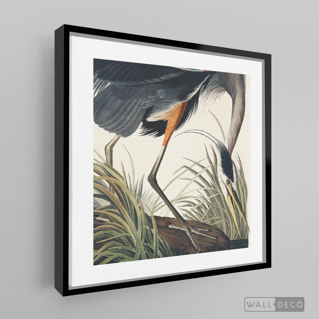 Cuadro Aves Garza