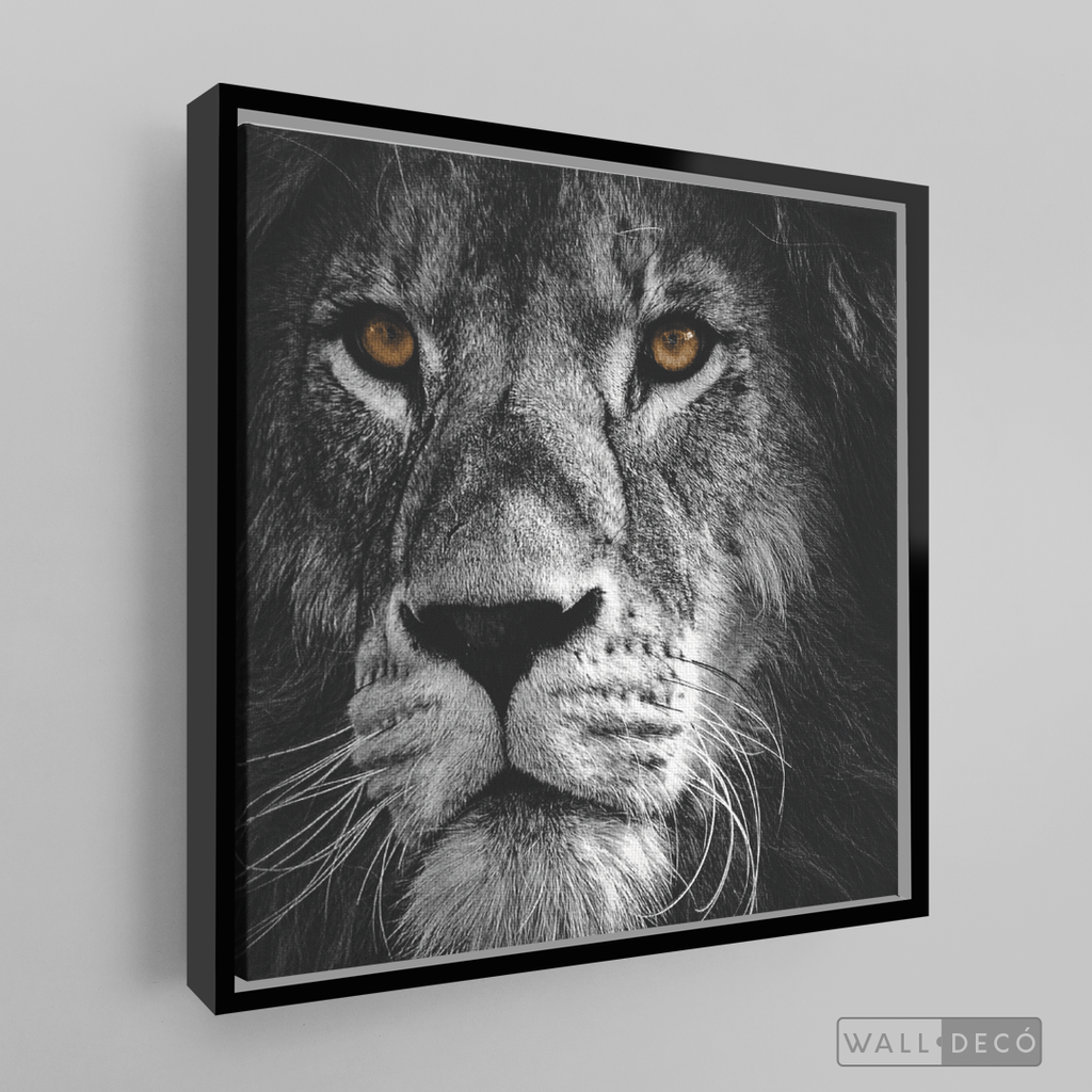 Cuadro Animales León (B) B/N