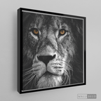 Cuadro Animales León (B) B/N