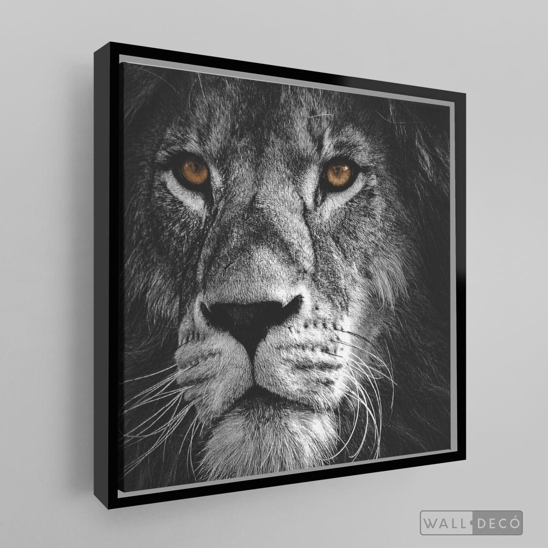 Cuadro Animales León (B) B/N
