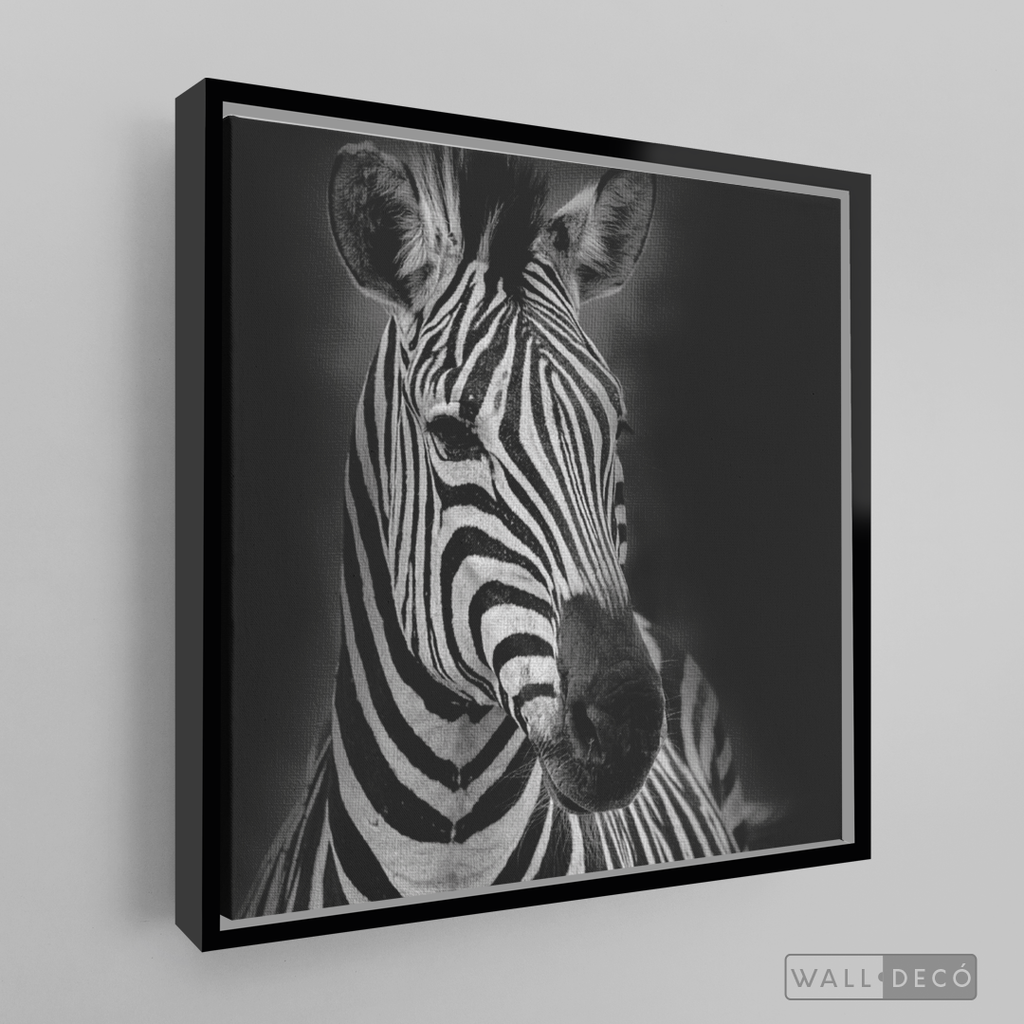 Cuadro Animales Cebra B/N