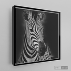 Cuadro Animales Cebra B/N
