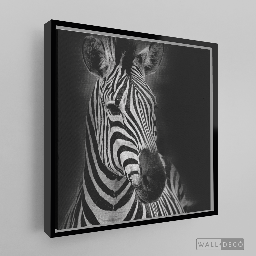 Cuadro Animales Cebra B/N