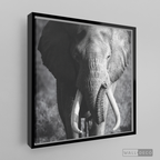 Cuadro Animales Elefante Real B/N