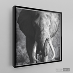 Cargar imagen en el visor de la galería, Cuadro Animales Elefante Real B/N

