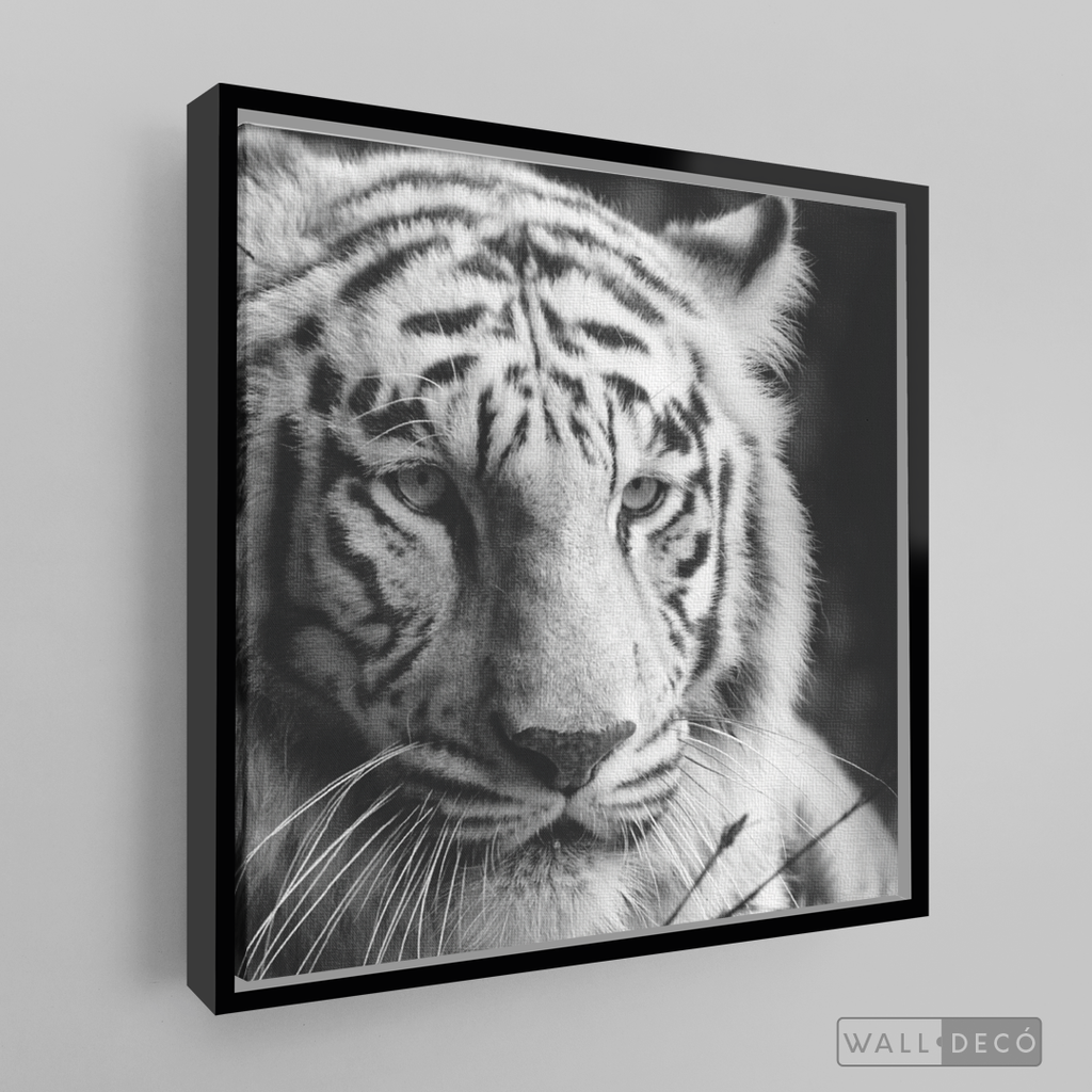Cuadro Animales Tigre Blanco B/N
