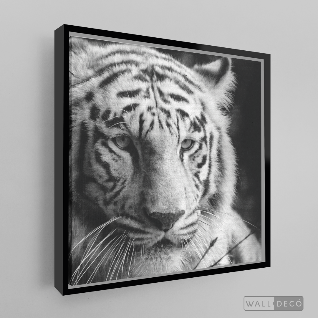 Cuadro Animales Tigre Blanco B/N