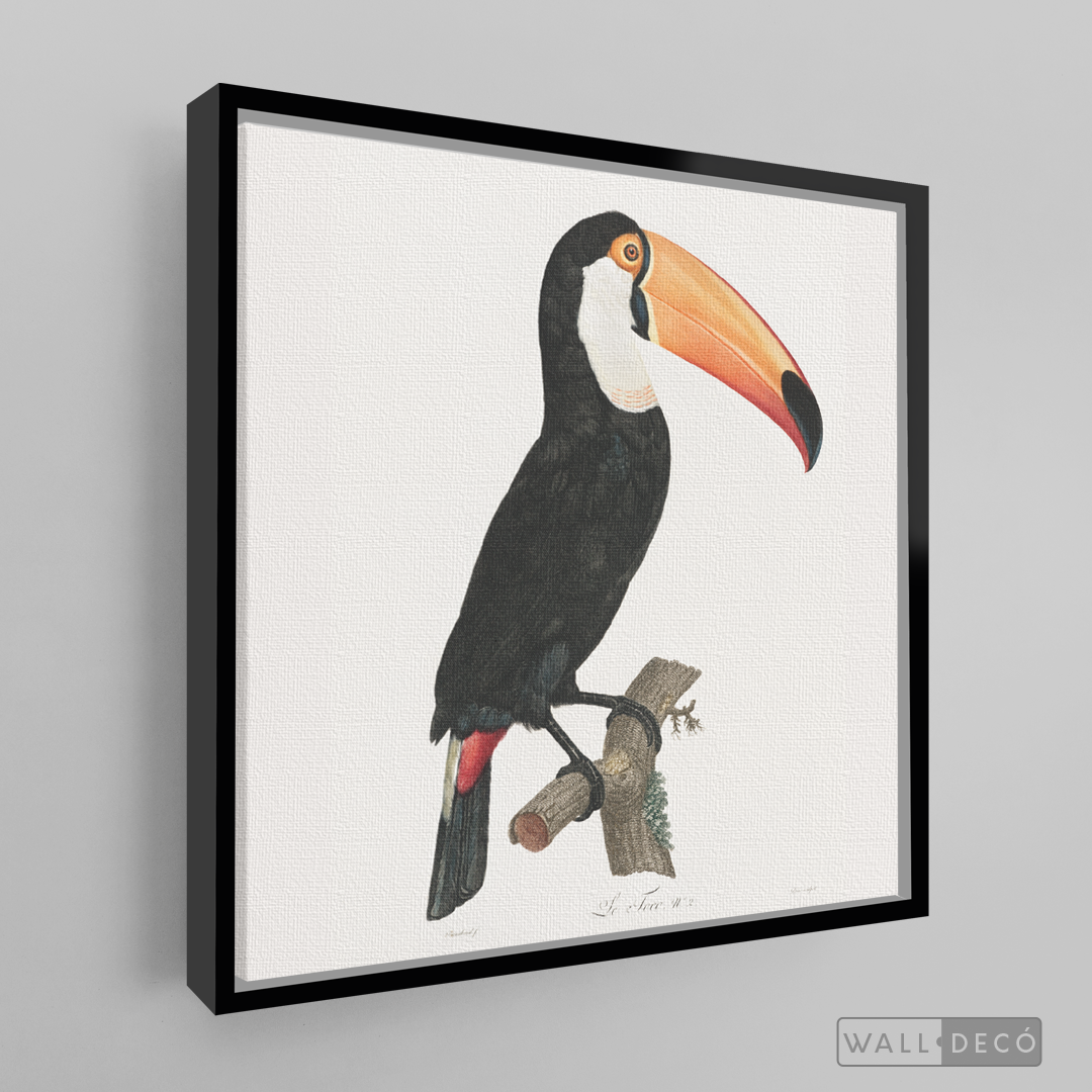 Cuadro Aves Tucan Colombiano 3