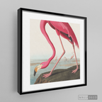 Cuadro Aves Flamenco Mayor