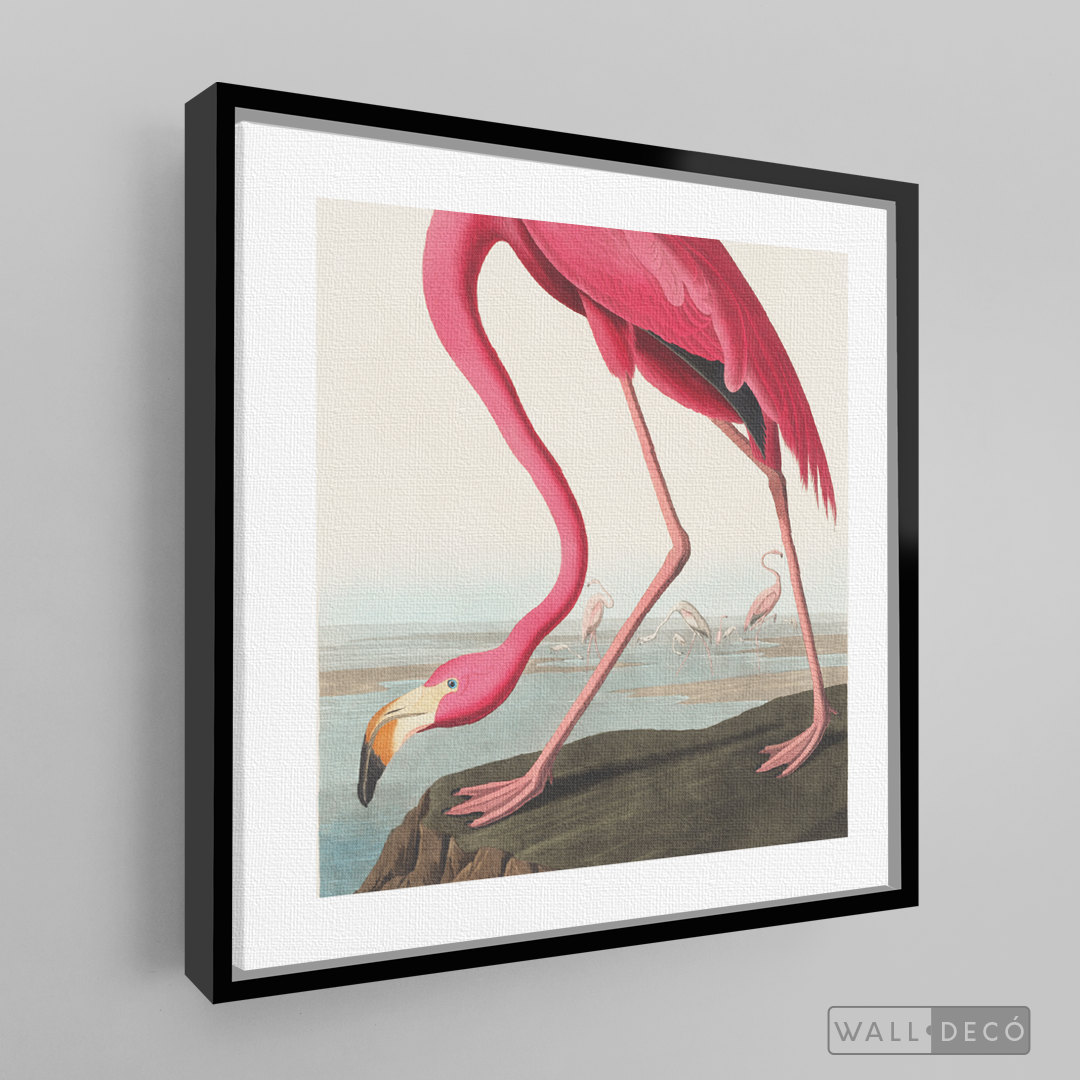 Cuadro Aves Flamenco Mayor