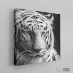 Cuadro Animales Tigre Blanco B/N