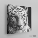 Cargar imagen en el visor de la galería, Cuadro Animales Tigre Blanco B/N
