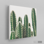 Cuadro Botánico CACTUS