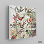 Cuadro Aves Colibríes