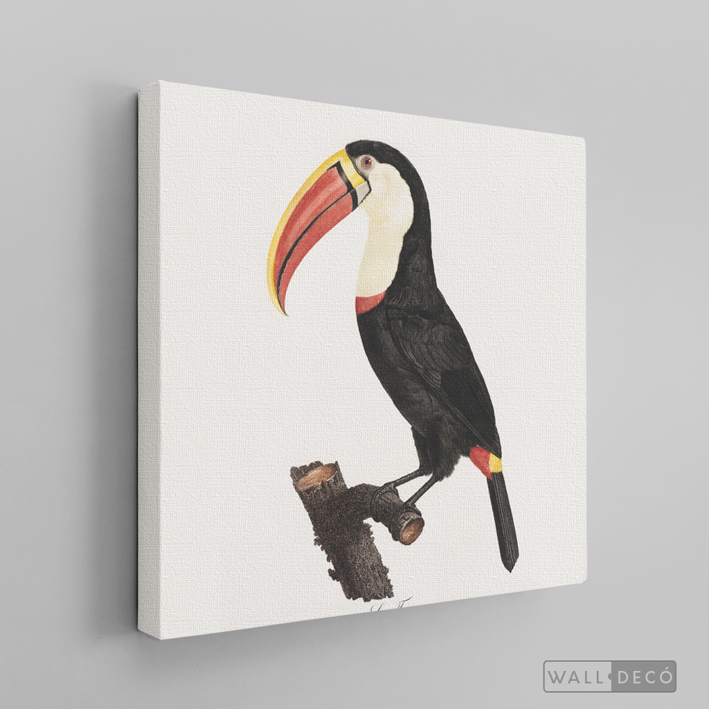 Cuadro Aves Tucan Colombiano 2
