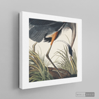 Cuadro Aves Garza