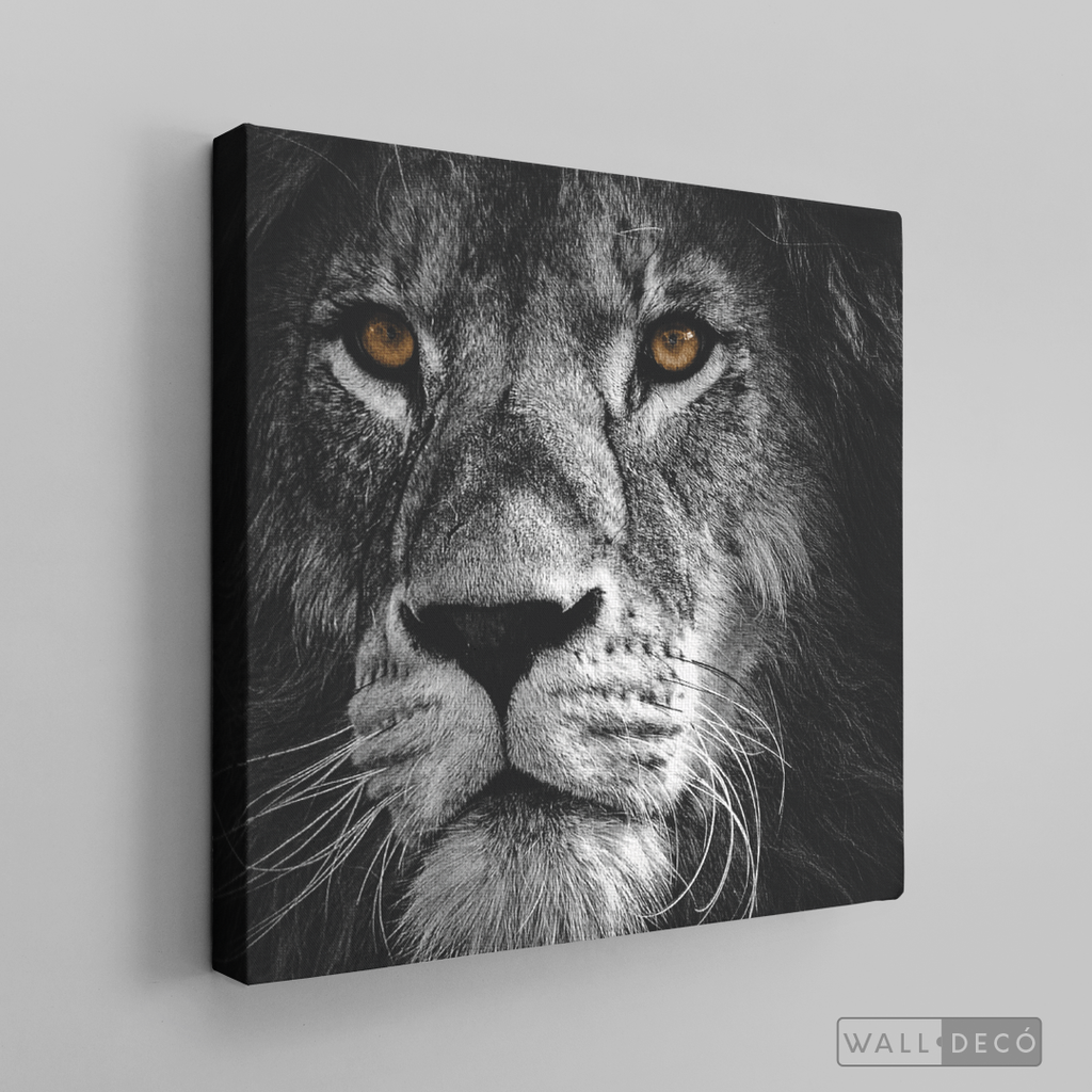 Cuadro Animales León (B) B/N