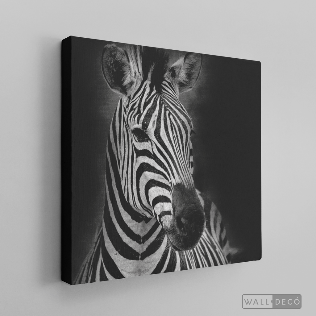 Cuadro Animales Cebra B/N