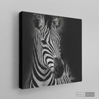Cuadro Animales Cebra B/N