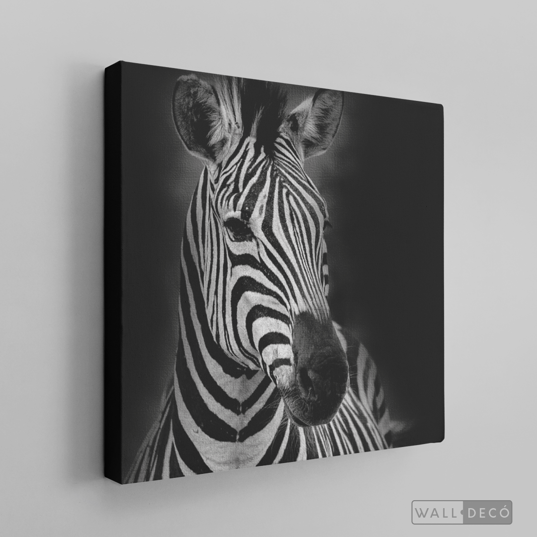 Cuadro Animales Cebra B/N