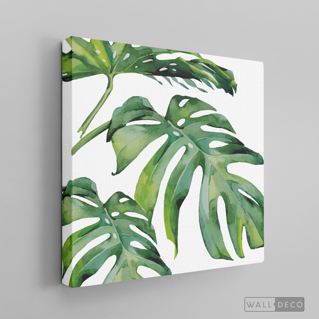 Cuadro Botánico Monstera Deliciosa