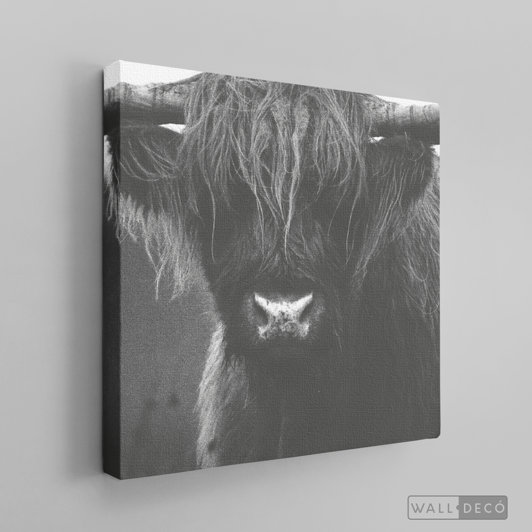 Cuadro Animales Bisonte