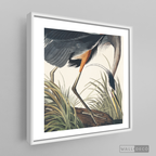 Cuadro Aves Garza