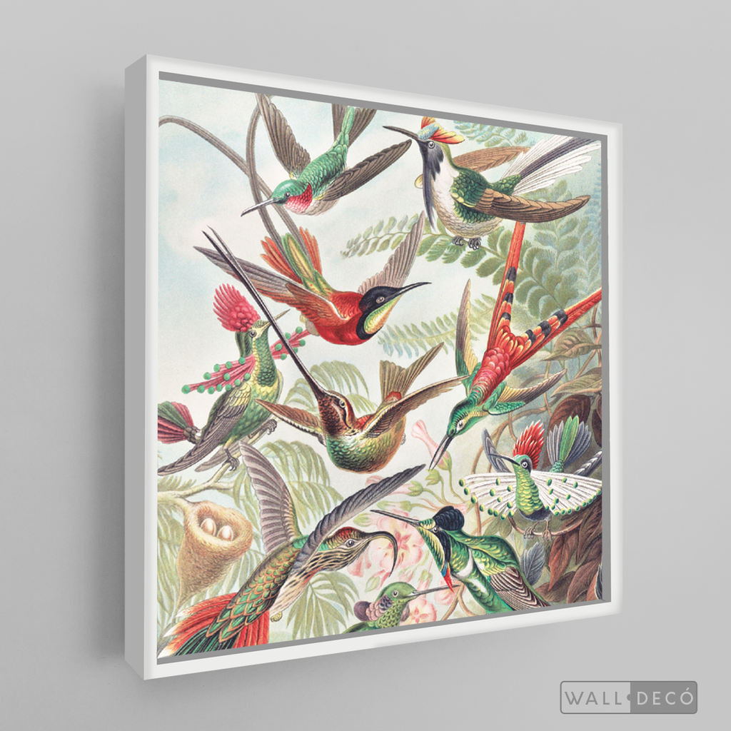 Cuadro Aves Colibríes