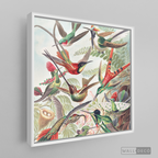 Cuadro Aves Colibríes