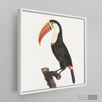 Cuadro Aves Tucan Colombiano 2