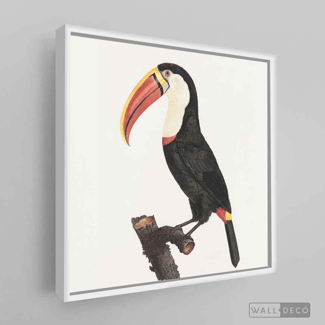 Cuadro Aves Tucan Colombiano 2