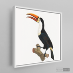 Cuadro Aves Tucan Colombiano 1