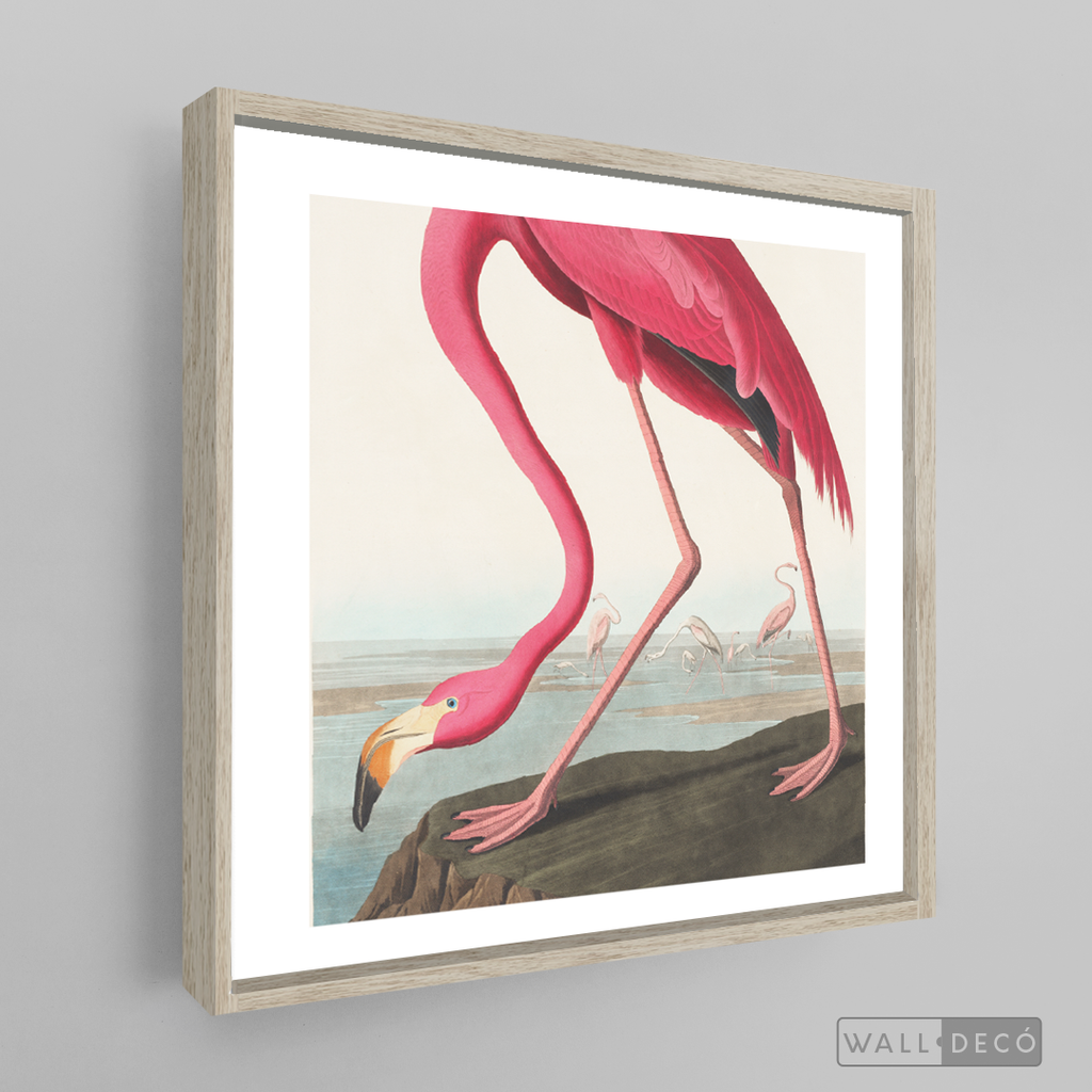 Cuadro Aves Flamenco Mayor