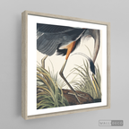 Cuadro Aves Garza
