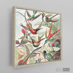 Cuadro Aves Colibríes