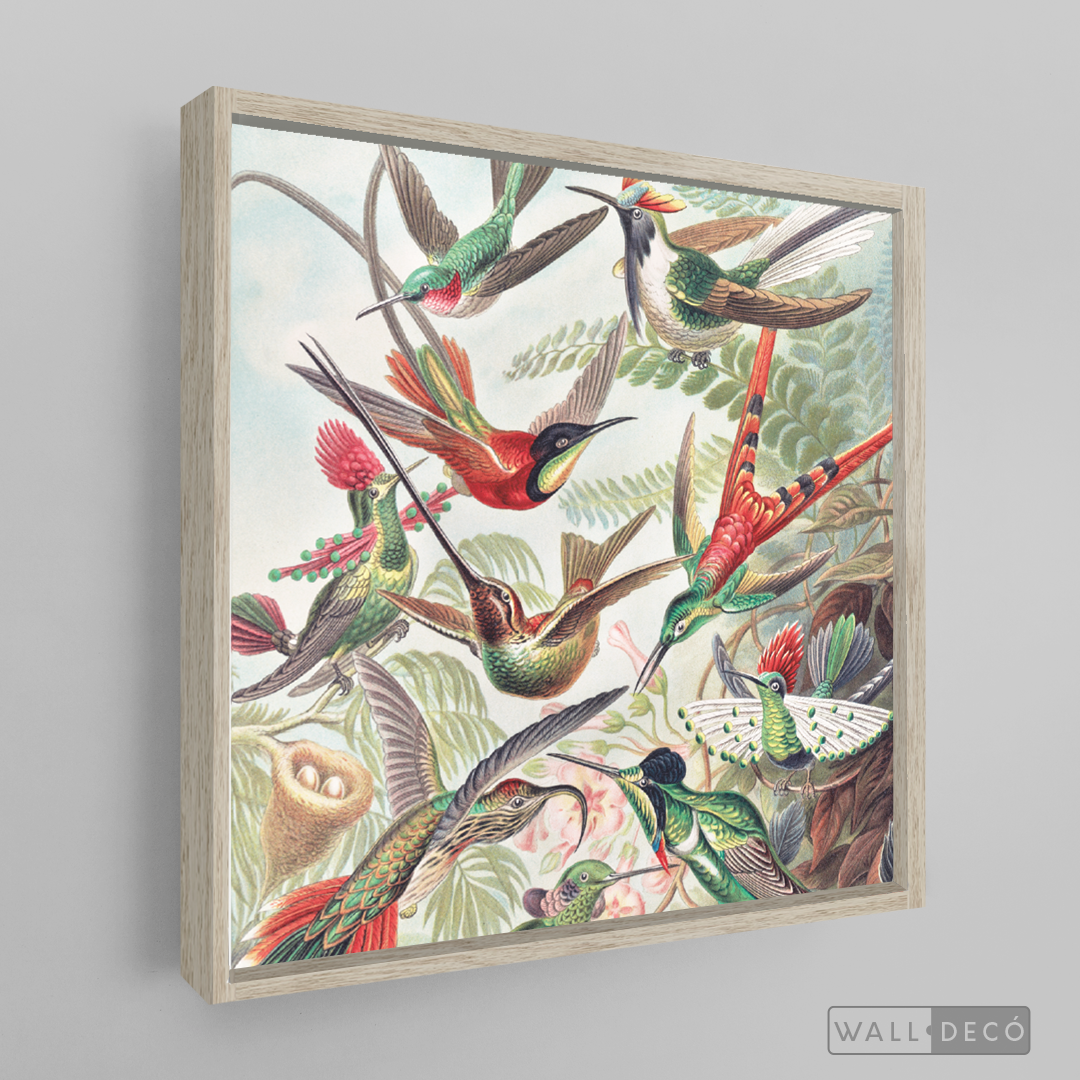 Cuadro Aves Colibríes