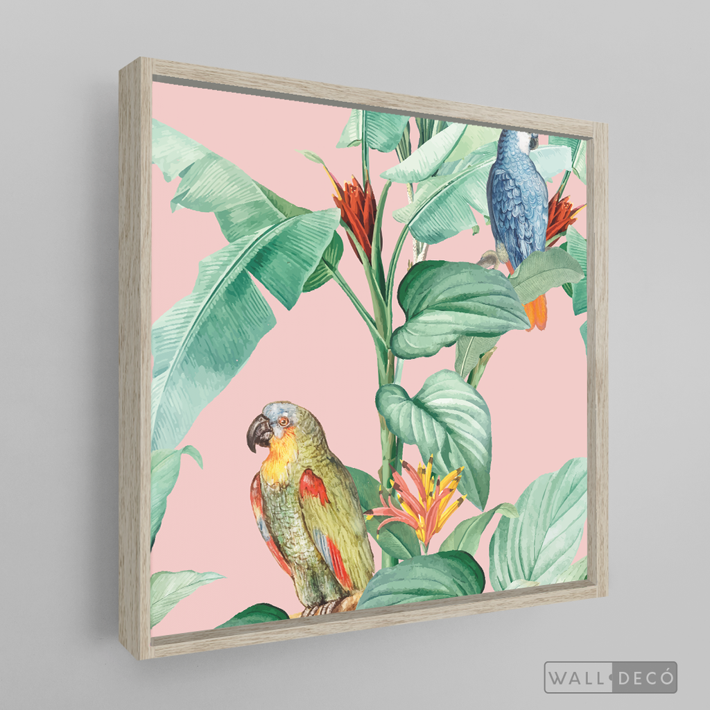 Cuadro Aves Loro Real